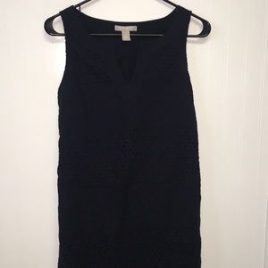 Navy Banana Republic Dress